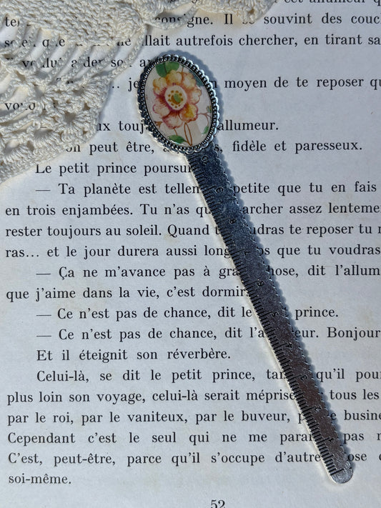 Marque Page
